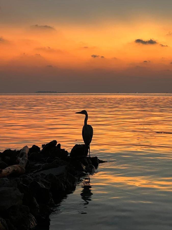 Raalhu Dhangethi Bed & Breakfast Dış mekan fotoğraf