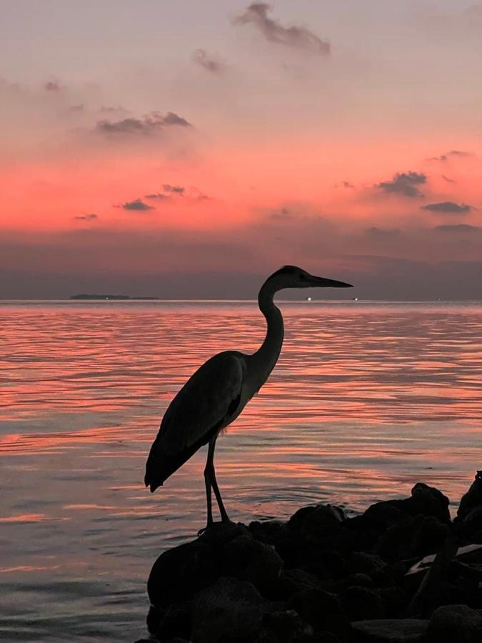 Raalhu Dhangethi Bed & Breakfast Dış mekan fotoğraf
