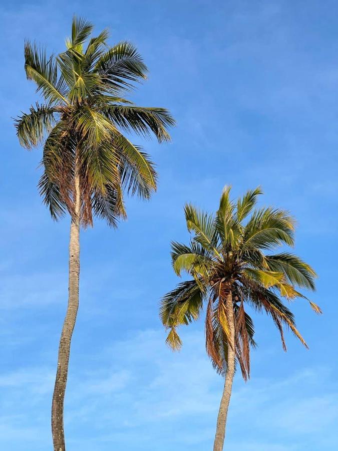 Raalhu Dhangethi Bed & Breakfast Dış mekan fotoğraf